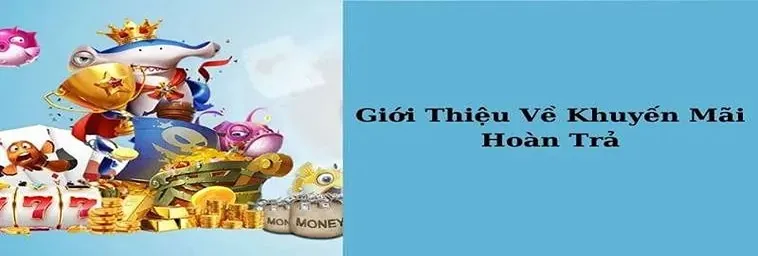 Hoàn Trả Không Giới Hạn Tại SolarBet: Ưu Đãi Cá Cược Hấp Dẫn