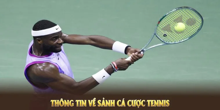 Cá Cược Quần Vợt SolarBet: Sân Chơi Đa Dạng Các Trận Đấu